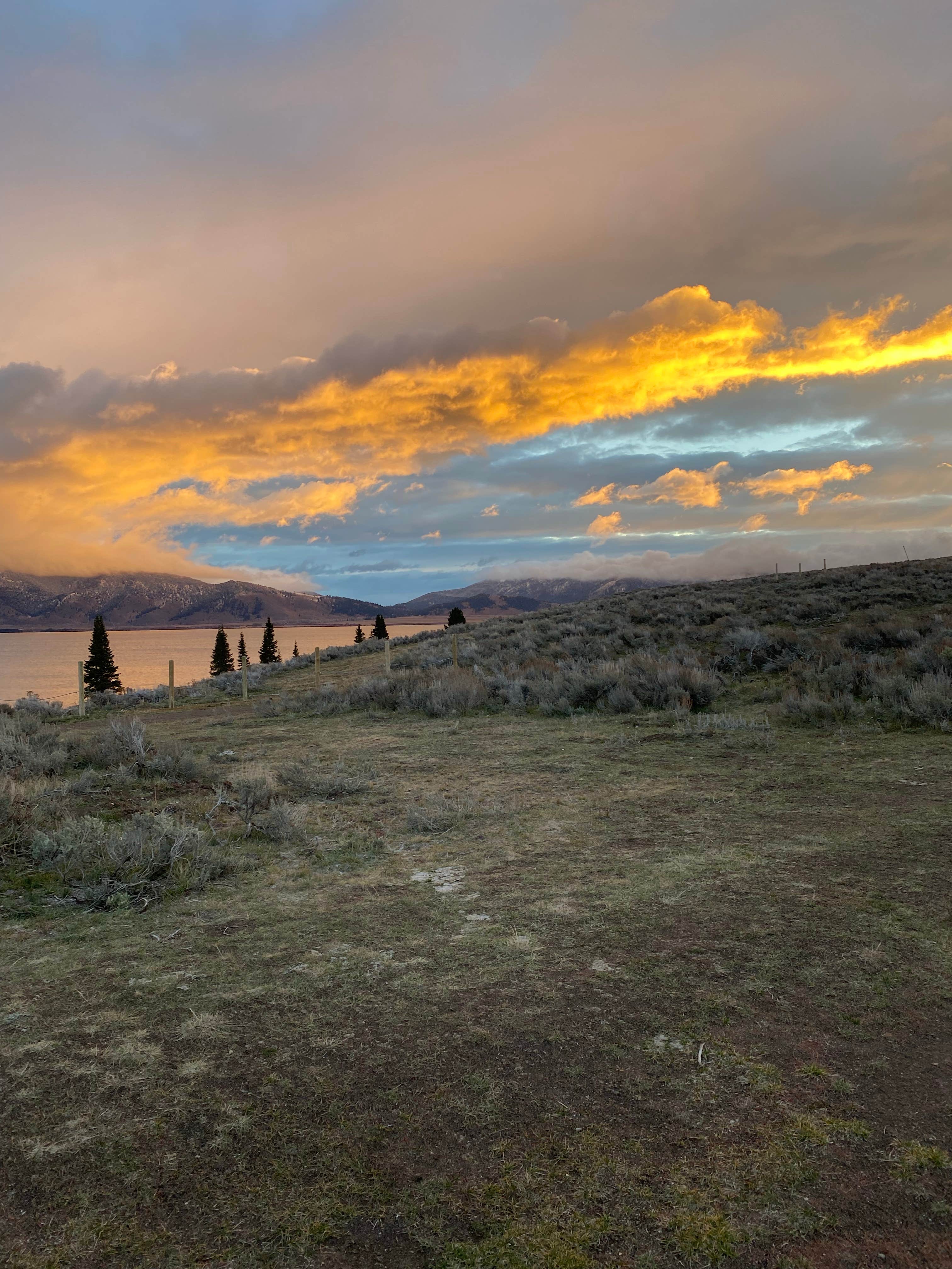 Taylor S.'s photo of a dispersed camping area at Henry's Lake BLM Dispersed near Spencer, ID