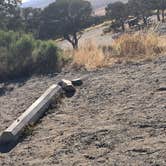Review photo of Zapata Falls Campground by CC C., October 26, 2021