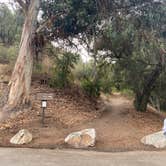 Review photo of Cerro Alto Campground by Amanda A., October 27, 2021