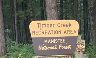 Camping near Whiskey Creek Resort: Timber Creek Campground, Baldwin, Michigan