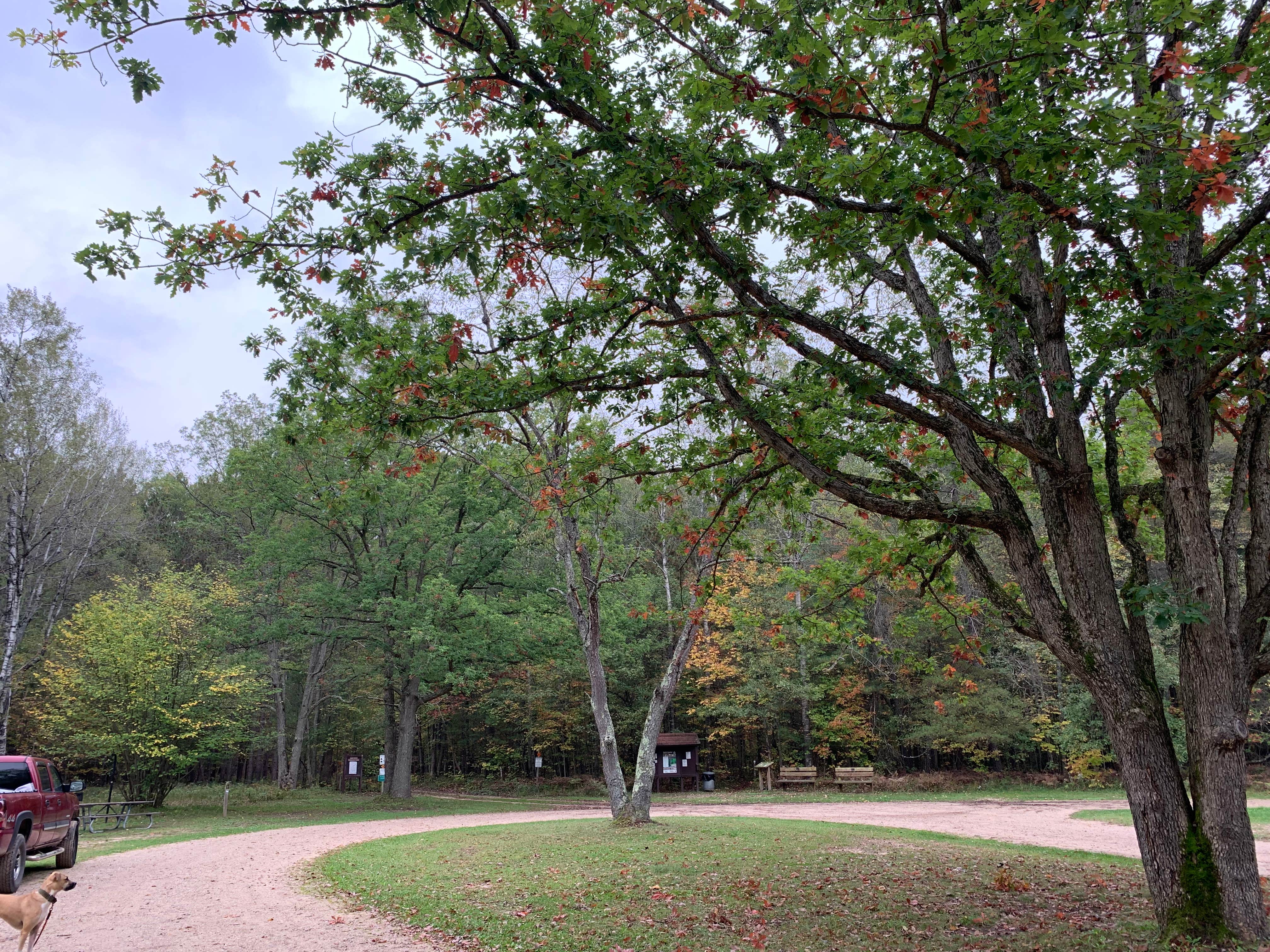 Camper-submitted photo at Timber Creek Campground near Pentwater, MI
