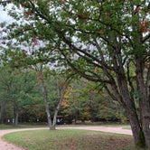 Review photo of Timber Creek Campground by Renae J., October 27, 2021