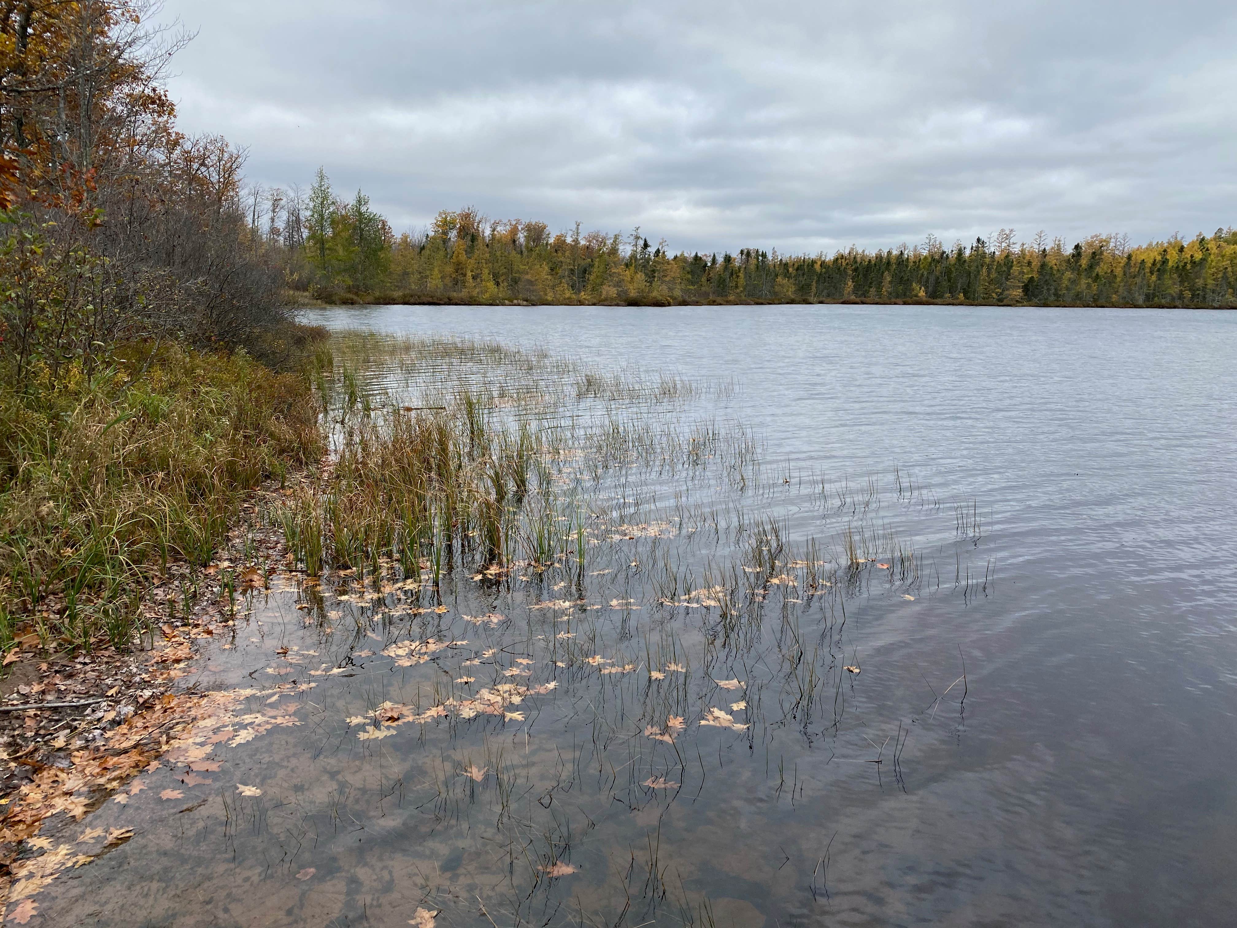 Camper submitted image from Saint Croix State Forest Boulder Campground - 2