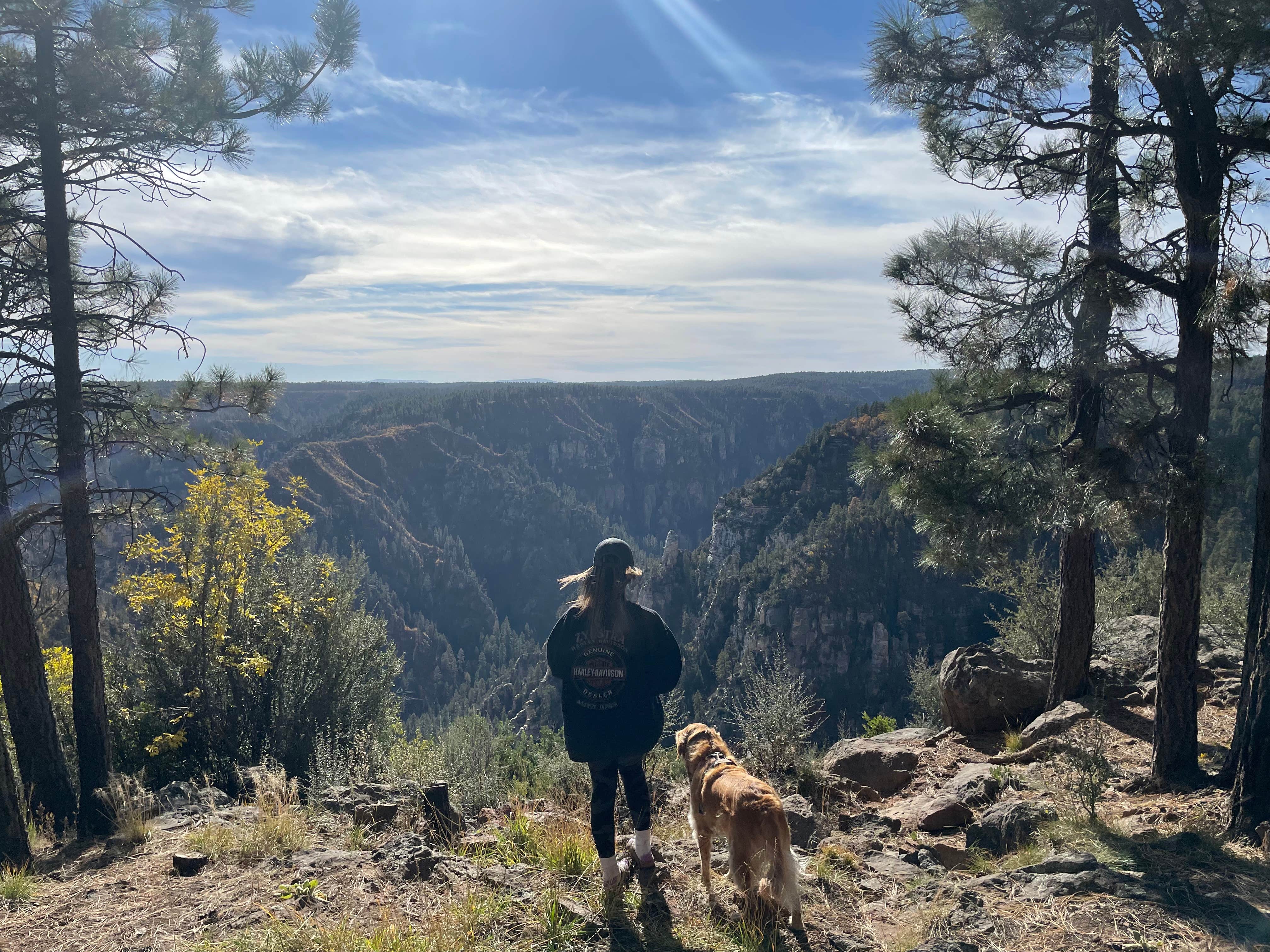 Michael B.'s photo of camping with pets at Edge of the World (East Pocket) near Cottonwood, AZ