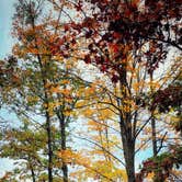 Review photo of Lake Raystown Resort by Tracey G., October 27, 2021