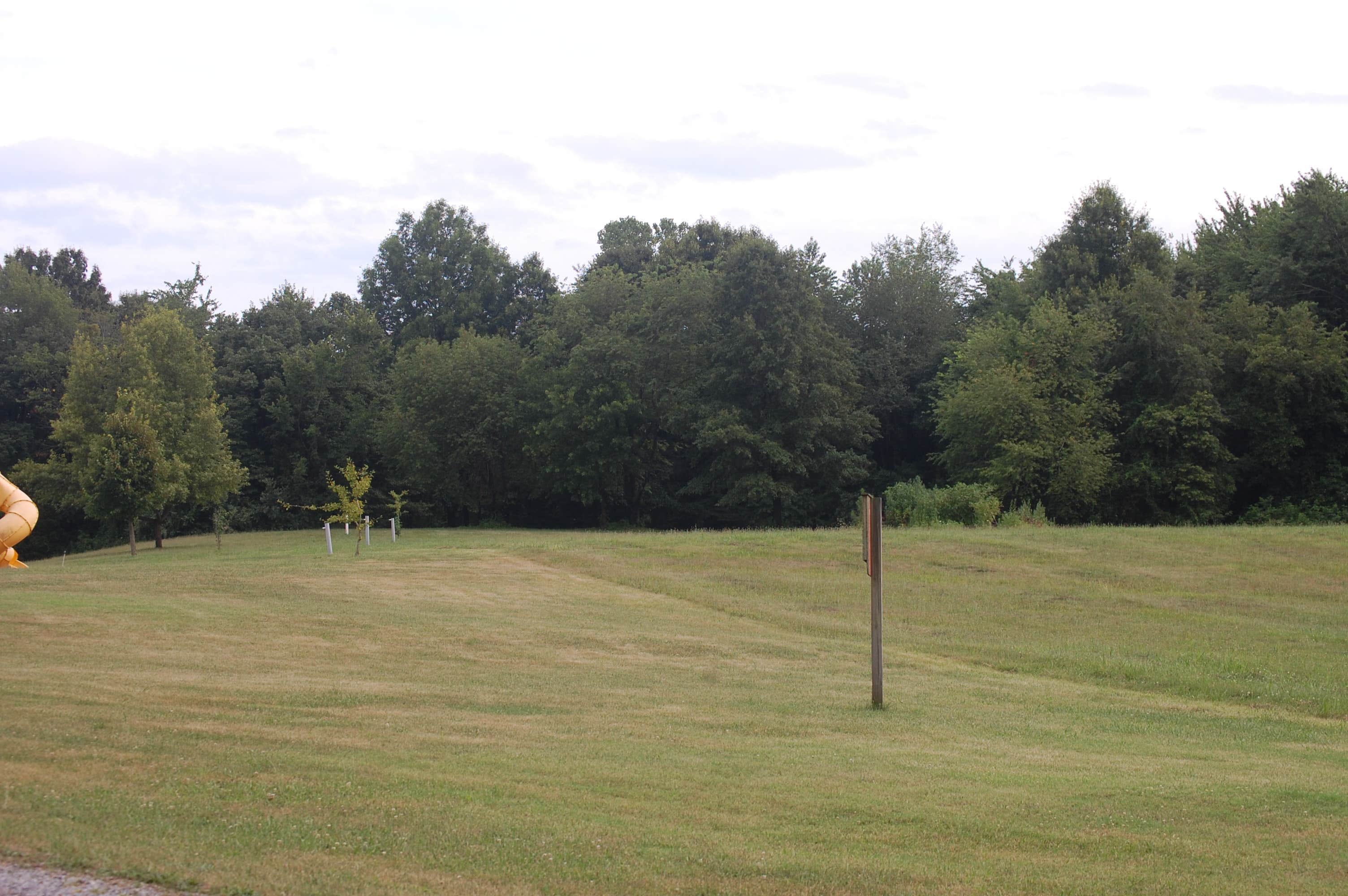 Camper submitted image from Arrowhead Lake Campground - 2