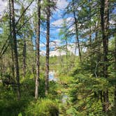 Review photo of Lake Bemidji State Park Campground by Tori K., October 27, 2021