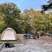 Review photo of Spring Creek Primitive Campground — Mousetail Landing State Park by Steve G., October 27, 2021