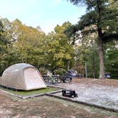 Review photo of Spring Creek Primitive Campground — Mousetail Landing State Park by Steve G., October 27, 2021