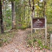 Review photo of Spring Creek Primitive Campground — Mousetail Landing State Park by Steve G., October 27, 2021