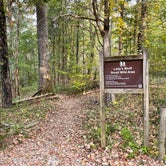Review photo of Mousetail Landing State Park Main Campground — Mousetail Landing State Park by Steve G., October 27, 2021
