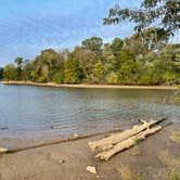 Review photo of Spring Creek Primitive Campground — Mousetail Landing State Park by Steve G., October 27, 2021