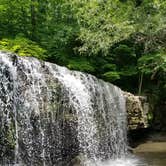 Review photo of Nerstrand Big Woods State Park Campground by Tori K., October 27, 2021