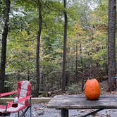 Review photo of Doll Mountain Campground by Gregory D., October 27, 2021