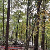 Review photo of Doll Mountain Campground by Gregory D., October 27, 2021
