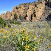 Review photo of Smith Rock State Park Campground by Gabrielle S., July 5, 2018