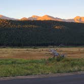 Review photo of Moraine Park Campground — Rocky Mountain National Park by Tori K., October 27, 2021