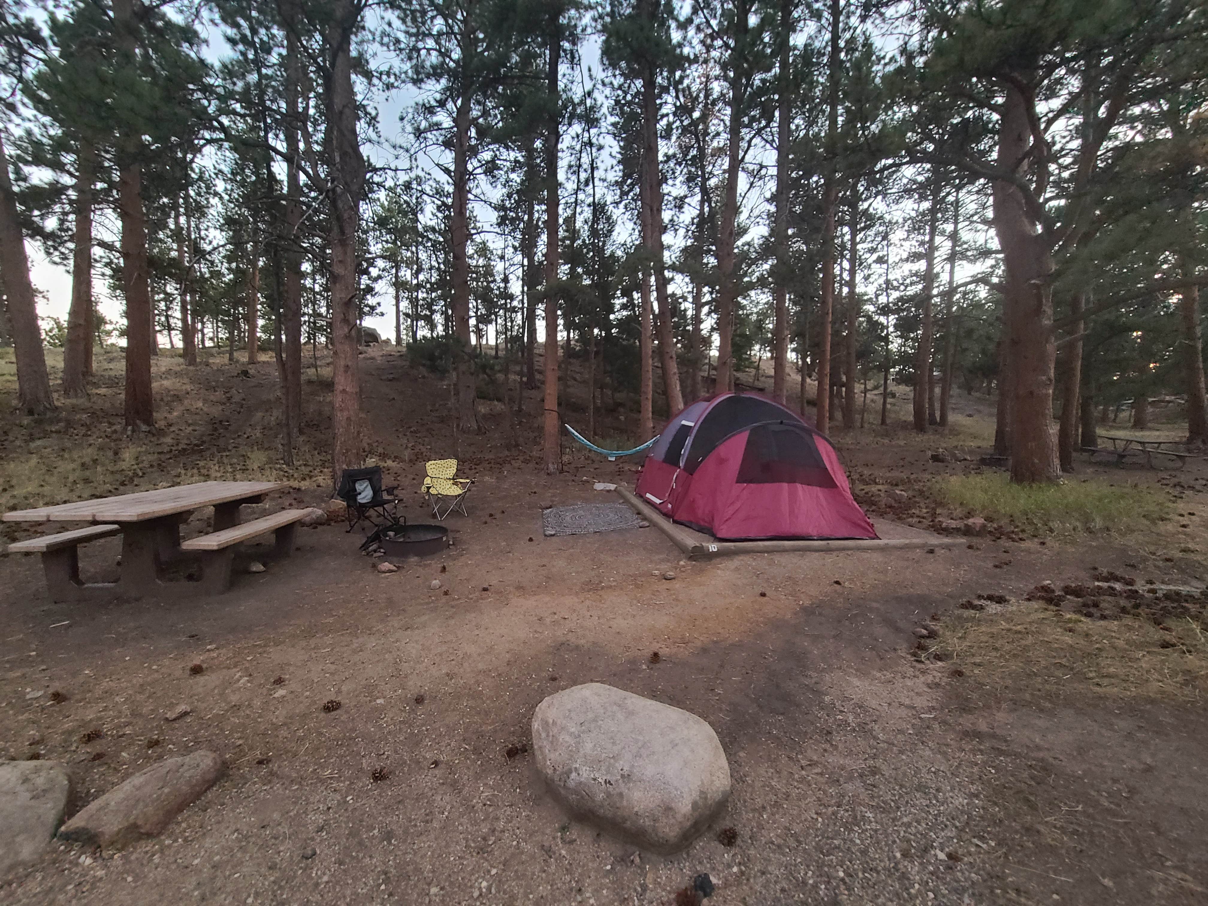 Tori K.'s photo at Moraine Park Campground — Rocky Mountain National Park near Estes Park, CO