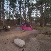 Review photo of Moraine Park Campground — Rocky Mountain National Park by Tori K., October 27, 2021