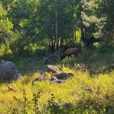 Review photo of Moraine Park Campground — Rocky Mountain National Park by Tori K., October 27, 2021