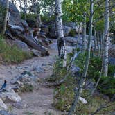 Review photo of Moraine Park Campground — Rocky Mountain National Park by Tori K., October 27, 2021