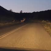 Review photo of Morefield Campground — Mesa Verde National Park by Tori K., October 27, 2021