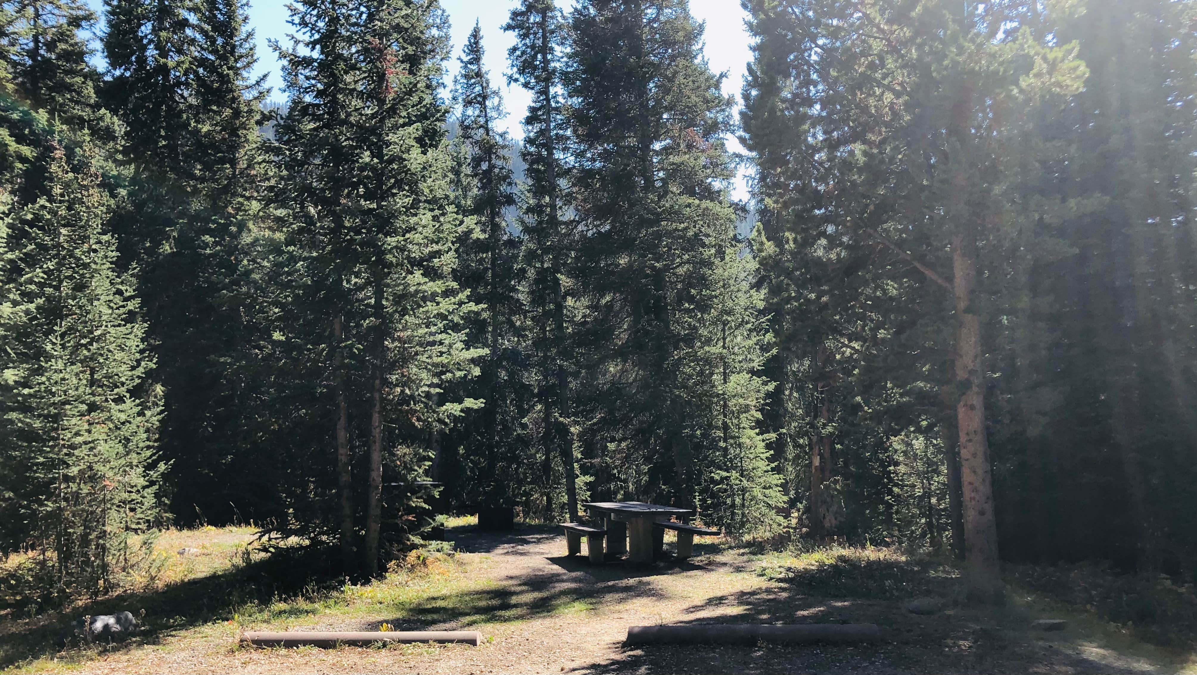 Camper submitted image from Soda Butte Campground - 4