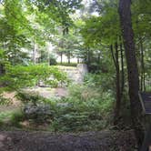 Review photo of Little Buffalo State Park Campground by Chelsea K., July 4, 2018