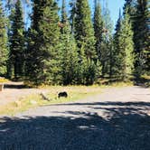 Review photo of Colter Campground by N I., October 27, 2021