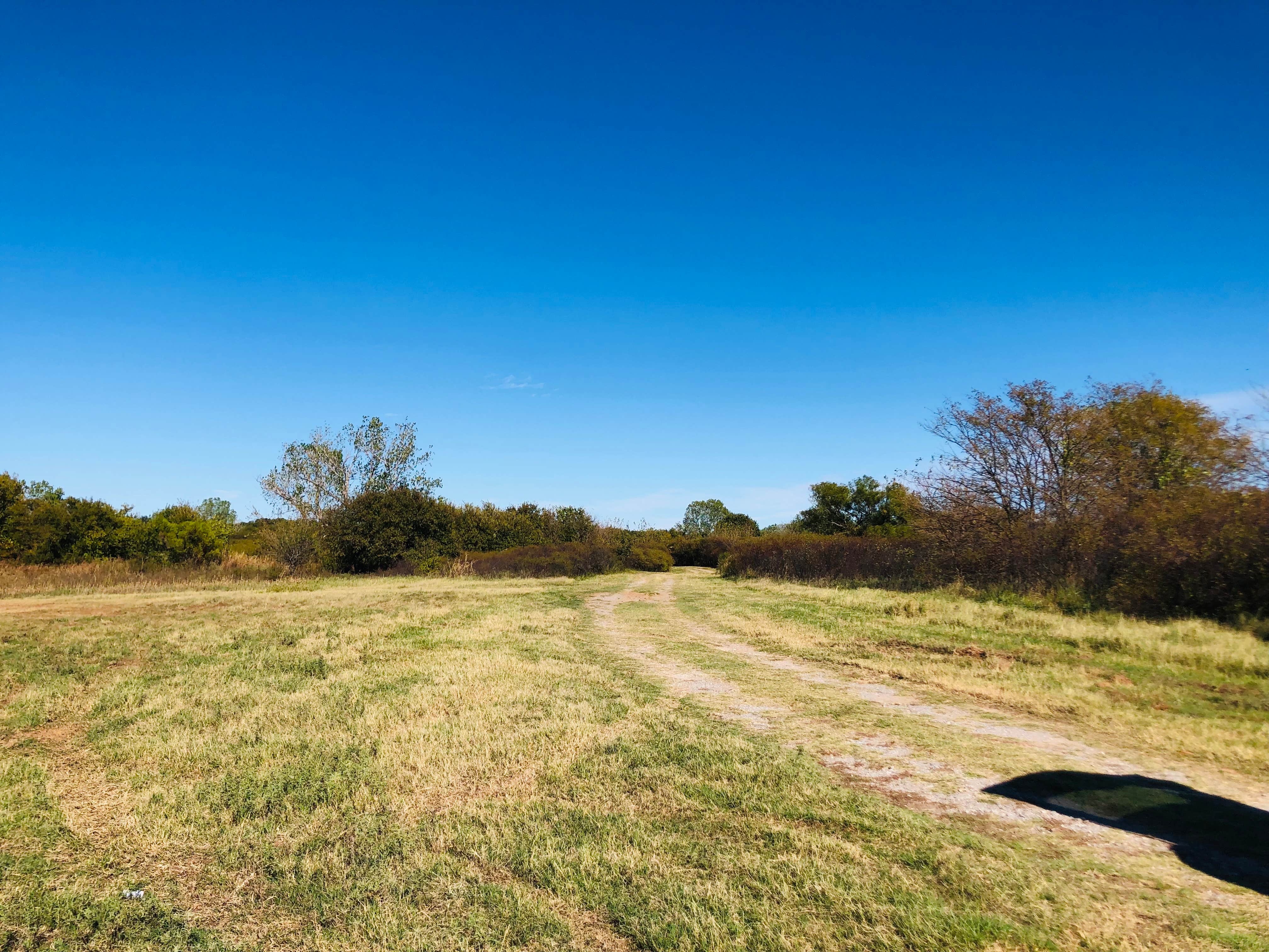 Camper submitted image from Waurika Primitive Camping - 2