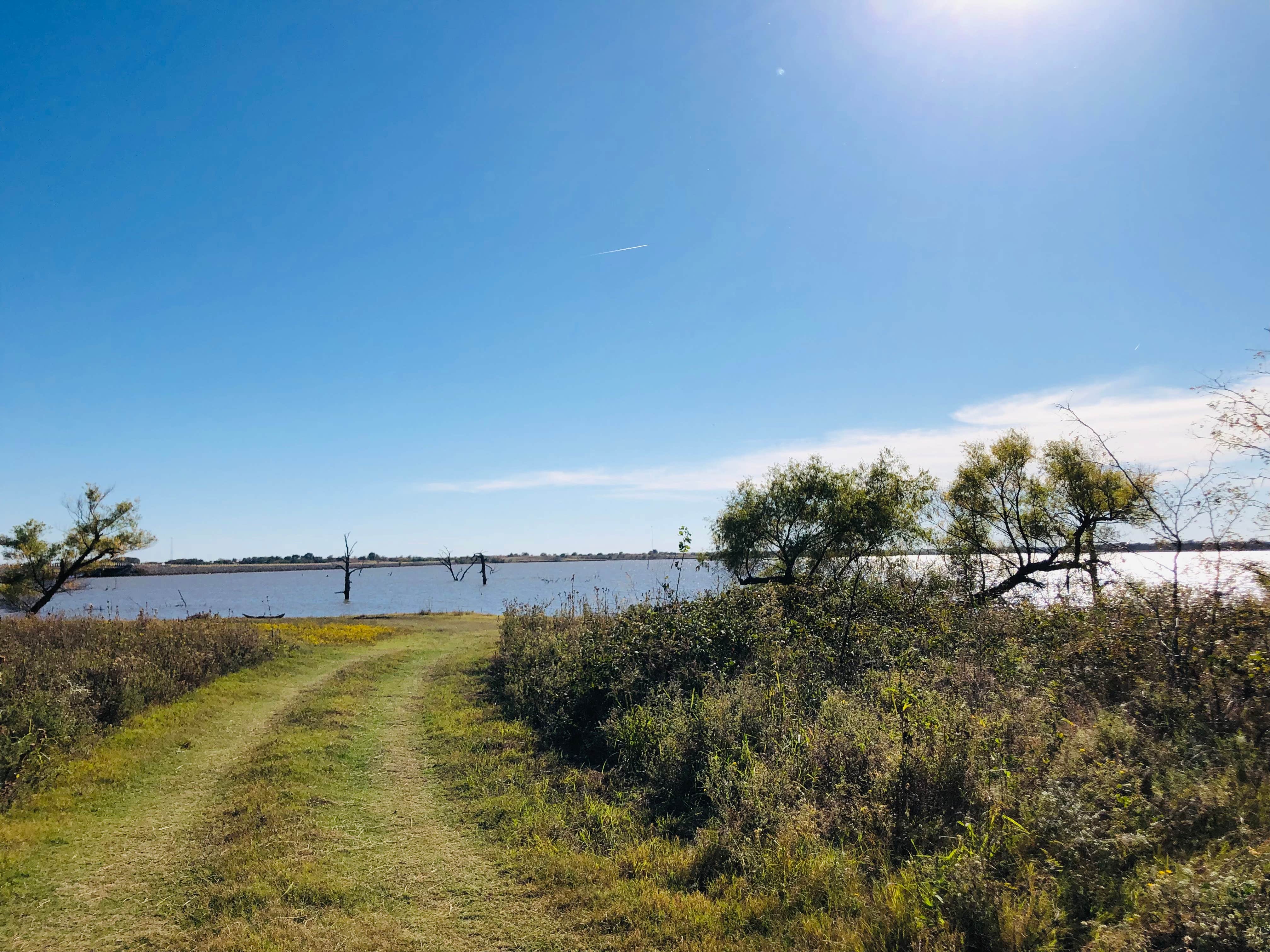 Camper submitted image from Waurika Primitive Camping - 4