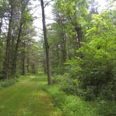 Review photo of Little Buffalo State Park Campground by Chelsea K., July 4, 2018