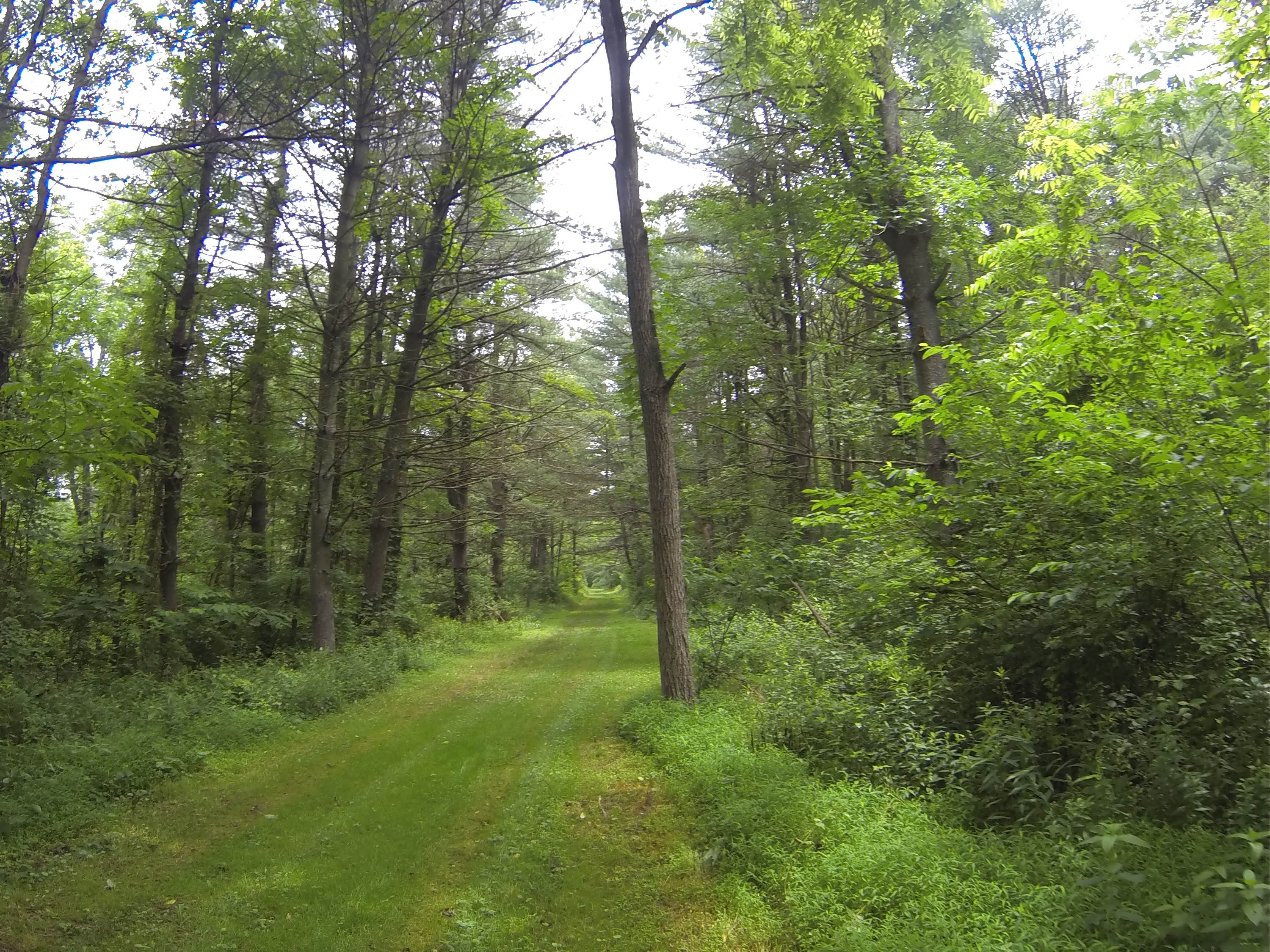 Camper submitted image from Little Buffalo State Park Campground - 3