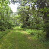 Review photo of Little Buffalo State Park Campground by Chelsea K., July 4, 2018