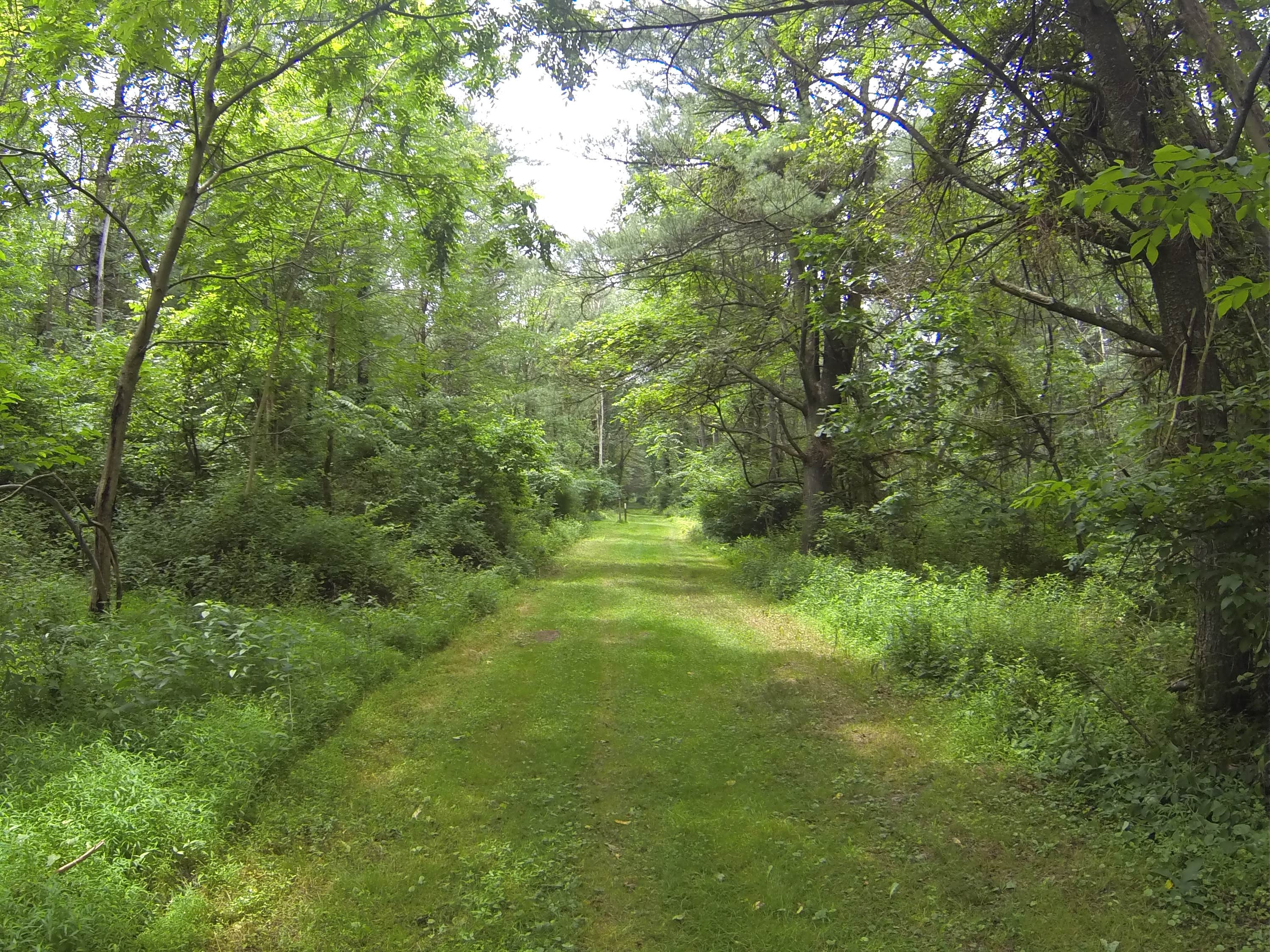 Camper submitted image from Little Buffalo State Park Campground - 2