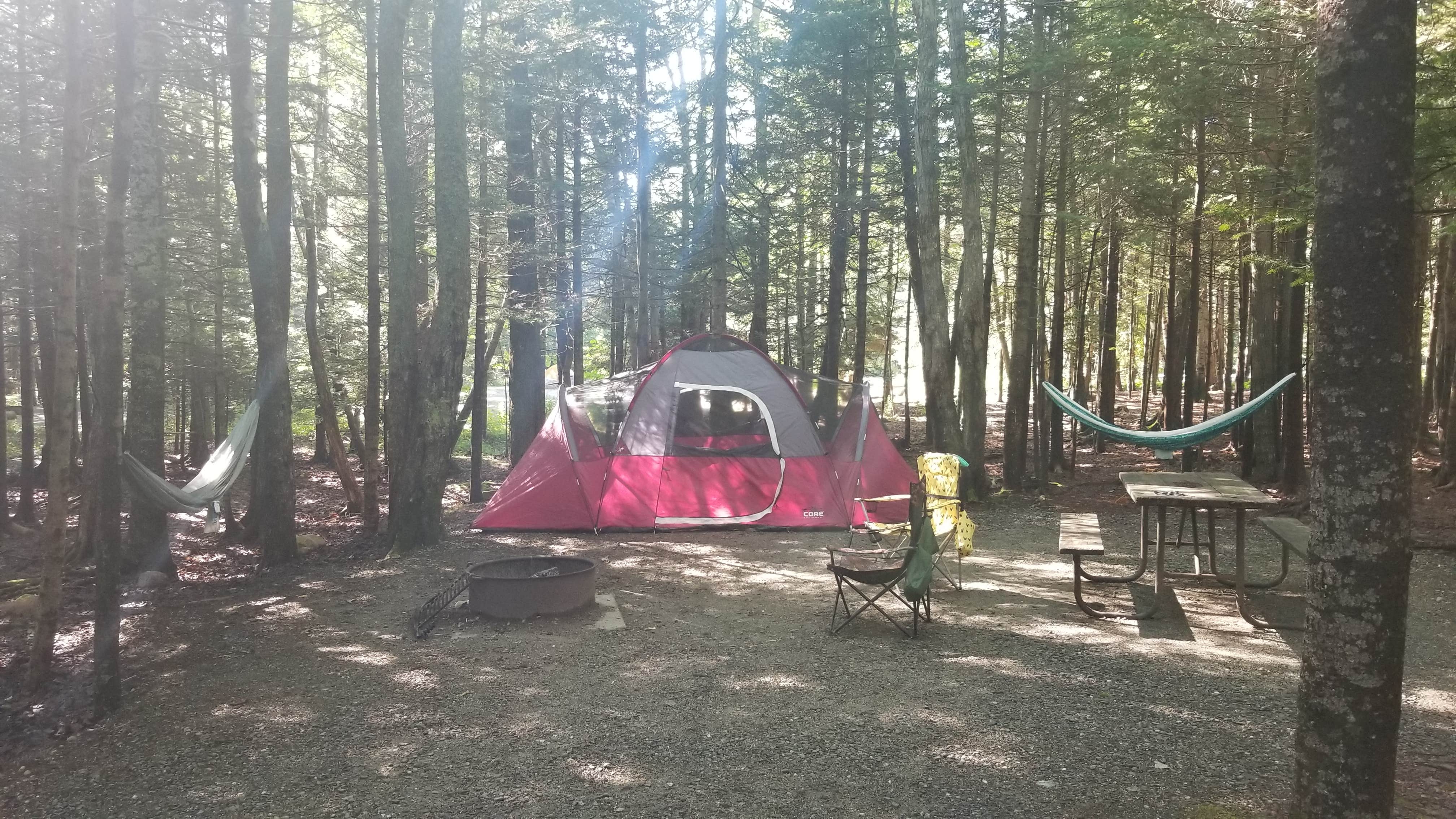 Tori K.'s photo at Blackwoods Campground — Acadia National Park near Bar Harbor, ME