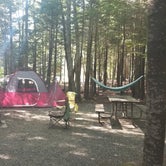 Review photo of Blackwoods Campground — Acadia National Park by Tori K., October 28, 2021