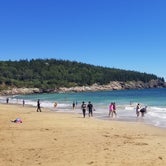 Review photo of Blackwoods Campground — Acadia National Park by Tori K., October 28, 2021