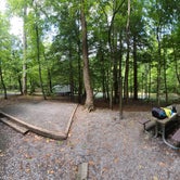 Review photo of Elkmont Campground — Great Smoky Mountains National Park by Tori K., October 28, 2021
