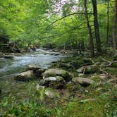 Review photo of Elkmont Campground — Great Smoky Mountains National Park by Tori K., October 28, 2021