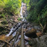 Review photo of Elkmont Campground — Great Smoky Mountains National Park by Tori K., October 28, 2021