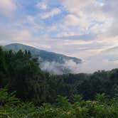 Review photo of Elkmont Campground — Great Smoky Mountains National Park by Tori K., October 28, 2021