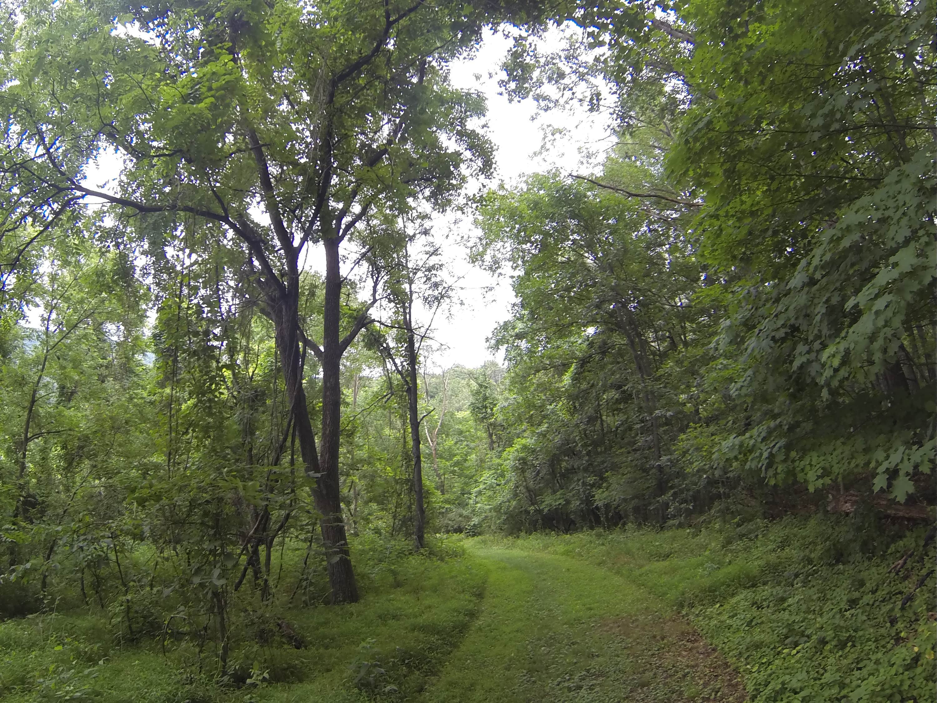 Camper-submitted photo at Little Buffalo State Park Campground near Duncannon, PA