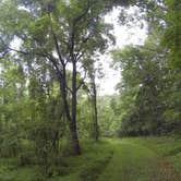 Review photo of Little Buffalo State Park Campground by Chelsea K., July 4, 2018