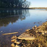 Review photo of Ferry Landing - Mississippi River by Fred S., October 28, 2021