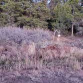 Review photo of Zion Ponderosa Ranch Resort by Sam C., October 28, 2021