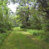 Review photo of Little Buffalo State Park Campground by Chelsea K., July 4, 2018