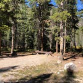 Review photo of M-K Campground by N I., October 28, 2021