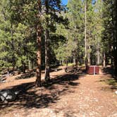 Review photo of M-K Campground by N I., October 28, 2021