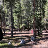 Review photo of M-K Campground by N I., October 28, 2021